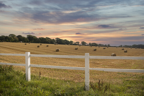  hay bales,  Cornwall countryside autumn Picture Board by kathy white