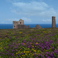 Buy canvas prints of St Agnes with wildflowers by kathy white