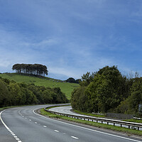 Buy canvas prints of Coming Home Trees, Nearly Home Trees on A30 by kathy white