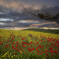 Buy canvas prints of Spitfire Soaring Over a Field of Red by kathy white