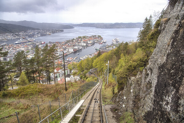 Majestic Beauty of Bergen Train Picture Board by kathy white