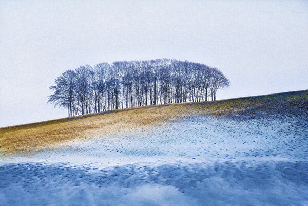 Blue trees,Nearly Home Trees,  Picture Board by kathy white