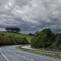 Buy canvas prints of Coming Home Trees,Nearly Home Trees on a30, by kathy white