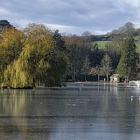 Buy canvas prints of Helston boating lake by kathy white
