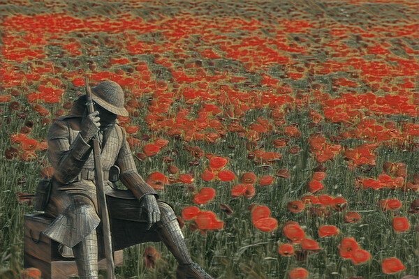 soldier in a  poppy field  Picture Board by kathy white