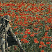 Buy canvas prints of soldier in a  poppy field  by kathy white