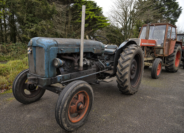 Fordson major Tractor and  a Zetor Crystal  in Cor Picture Board by kathy white