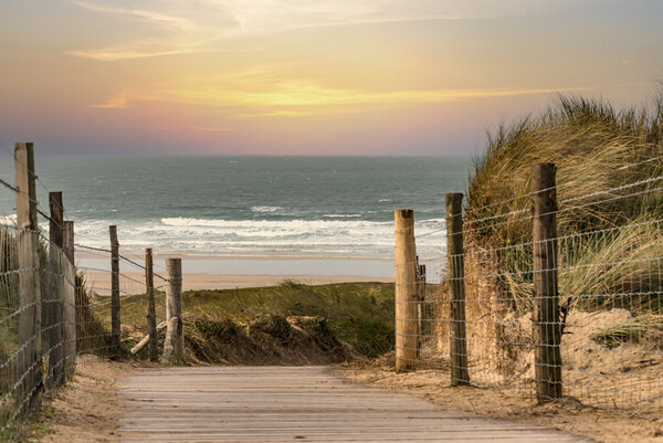Pathway to the beach Picture Board by kathy white