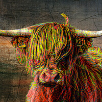 Buy canvas prints of The Highland cow, in Cornwall, painted red by kathy white