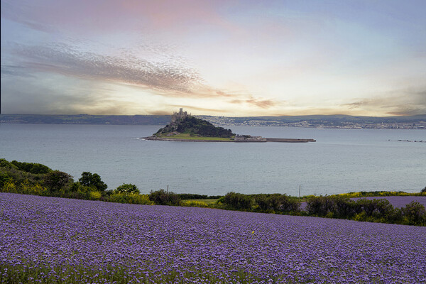 Majestic Sunset at St Michaels Mount Picture Board by kathy white