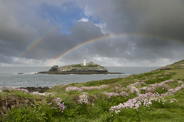 Godrevy lighthouse with a rainbow Picture Board by kathy white
