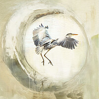 Buy canvas prints of Majestic Grey Heron Fishing by kathy white