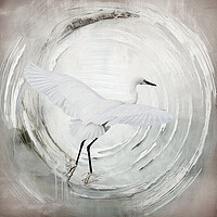 Buy canvas prints of Dawn Soaring: Egret's Winter Journey by kathy white