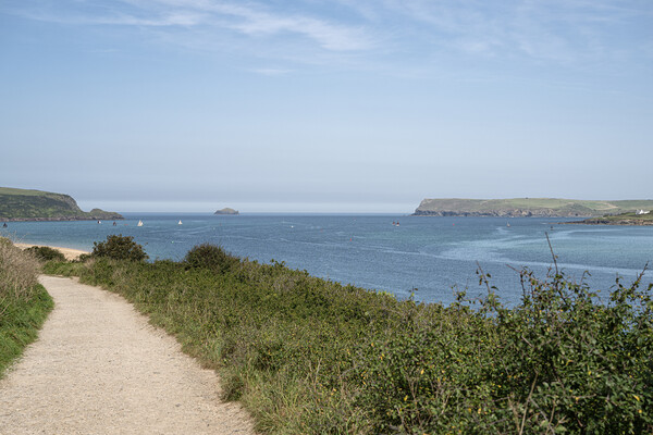 Pathway to the beach, Padstow Cornwall Picture Board by kathy white