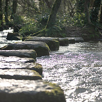 Buy canvas prints of stepping stones across river by kathy white