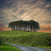 Buy canvas prints of Nearly Home Trees, Coming home trees, Cornwall trees  by kathy white