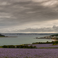 Buy canvas prints of St Michael's Mount Cornwall,wild flowers by kathy white