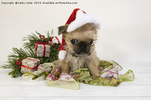 A Dog Is For Life, Not Just For Christmas, The Pug Picture Board by kathy white