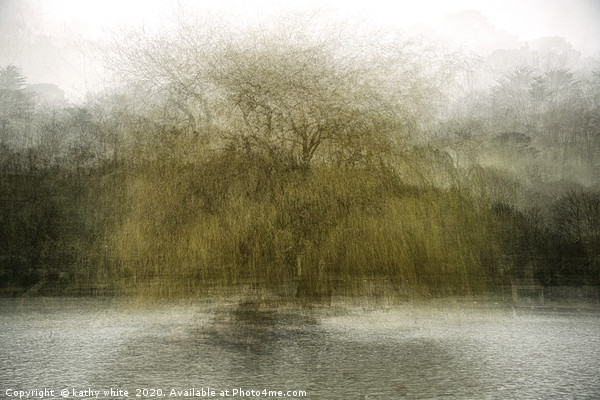 Portrait of a tree Helston lake Cornwall impressio Picture Board by kathy white