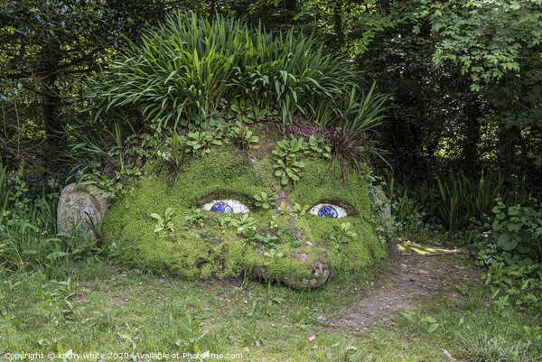 The Giant’s Head, at the Lost Gardens of Heligan Picture Board by kathy white