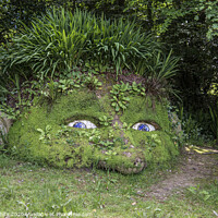 Buy canvas prints of The Giant’s Head, at the Lost Gardens of Heligan by kathy white