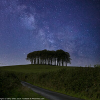 Buy canvas prints of Nearly Home Trees, Coming home trees,  Milky Way by kathy white