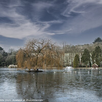 Buy canvas prints of weeping willow  cornwall boating lake,Early mornin by kathy white
