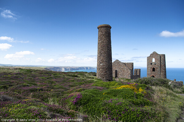 St Agnes Head, Cornwall Poldark ,Wheel Coates, Picture Board by kathy white