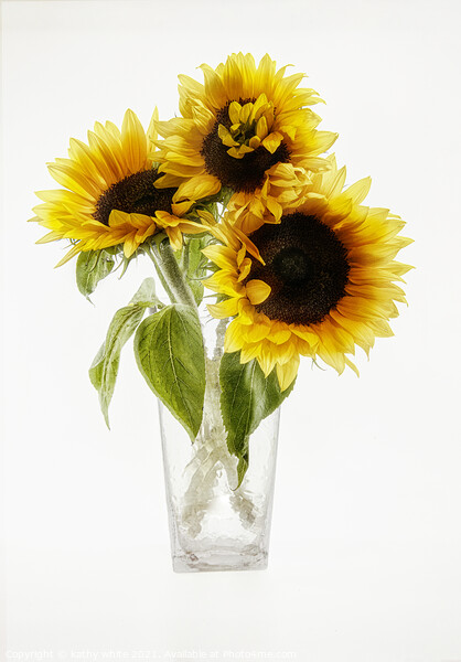 Sunflowers in a vase looking sunny Sunflower Picture Board by kathy white