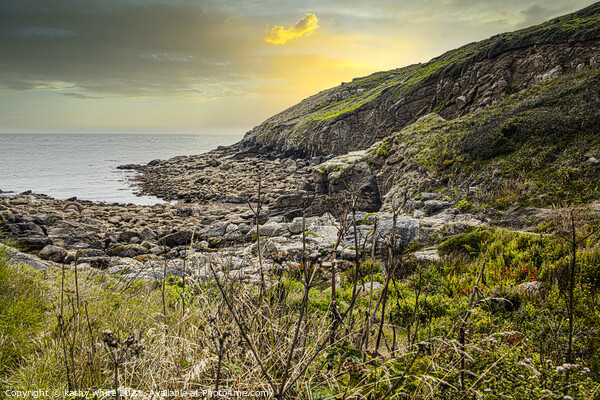 Porthgwarra Cornwall,Poldark Locations  Picture Board by kathy white