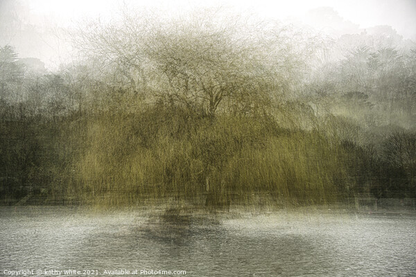 Weeping willow,Portrait of a tree impressionism  Picture Board by kathy white
