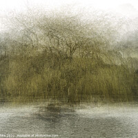 Buy canvas prints of Weeping willow,Portrait of a tree impressionism  by kathy white