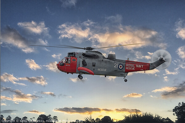 search and rescue Sea King  helicopter from 771 Sq Picture Board by kathy white