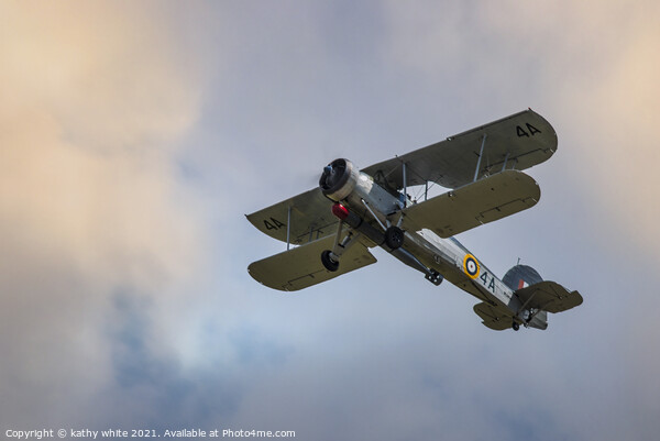 Royal Navy Fairey Swordfish airplane,plane Picture Board by kathy white