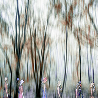 Buy canvas prints of Dancing in the woods,Cornwall midday dance by kathy white