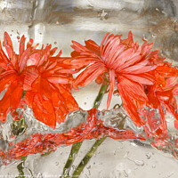 Buy canvas prints of Flowers water and ice in frozen water red by kathy white