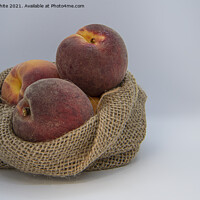 Buy canvas prints of Peaches, ripe in a hessian bag,fresh fruit, by kathy white