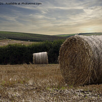 Buy canvas prints of Straw bails, waiting to be collected in a field Co by kathy white