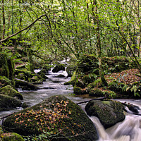 Buy canvas prints of A woodland stream ,in the Kennall Vale Nature Rese by kathy white