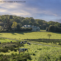 Buy canvas prints of Penrose  farmland and woodland  Cornwall southwest by kathy white