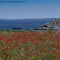 Buy canvas prints of West Pentire ,red poppies,Crantock Beech,  by kathy white