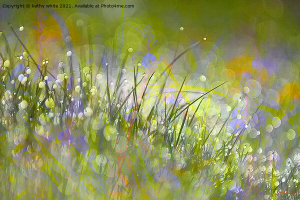 Mystic Morning Meadow Picture Board by kathy white