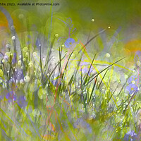 Buy canvas prints of Mystic Morning Meadow by kathy white