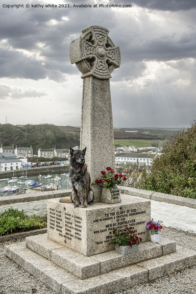 Duko  a bomb-sniffing dog at Porthleven  Picture Board by kathy white