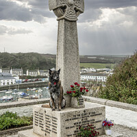 Buy canvas prints of Duko  a bomb-sniffing dog at Porthleven  by kathy white