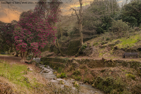 St Austell,Menacuddle Well. waterfall and azalea t Picture Board by kathy white