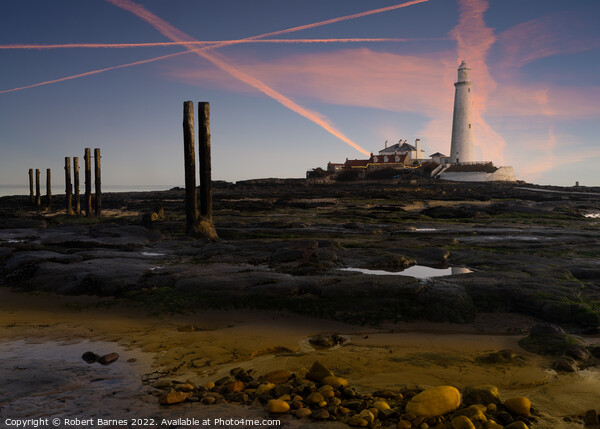 Sunrise at St Mary's Lighthouse Picture Board by Lrd Robert Barnes