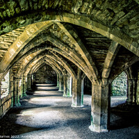 Buy canvas prints of Uncovering the Mysteries of Finchale Priory by Lrd Robert Barnes