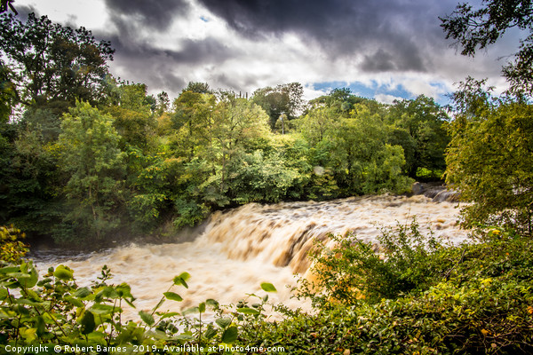 After The Storm At Aysgarth Falls Picture Board by Lrd Robert Barnes
