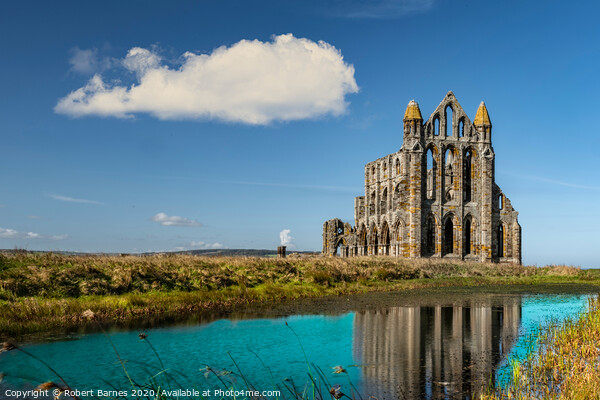 Whitby Abbey Reflections Picture Board by Lrd Robert Barnes